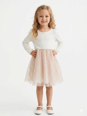 H&M Sparkle Tulle Dress